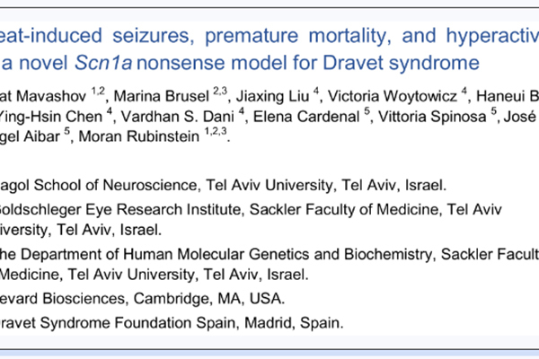 naica® Droplet Chip Digital PCR System Accurately Quantifies R613X Transcription Levels in Dravet Syndrome Scn1a Nonsense Mutation Model