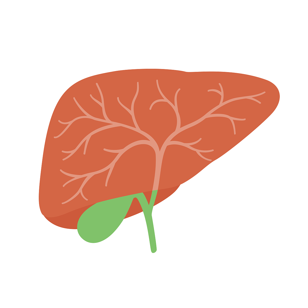 Hepatobiliary Tumor Illustration