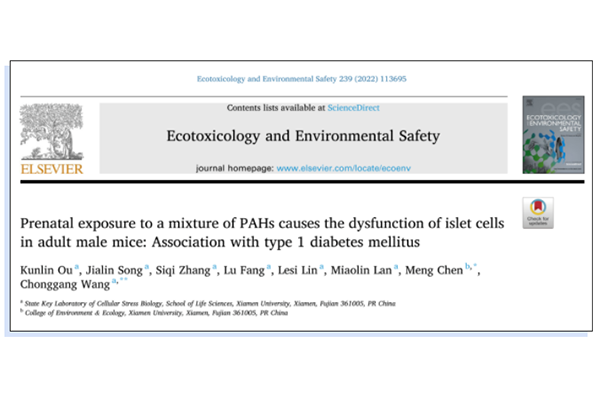 naica® Droplet Chip Digital PCR System Accurately Quantifies DNA Methylation Levels of Insulin-Encoding Genes