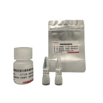 Animal tissue protein extraction kit