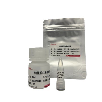 Bacterial protein extraction kit