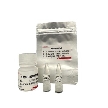 Plant protein extraction kit