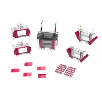 Mini Vertical Electrophoresis Cell