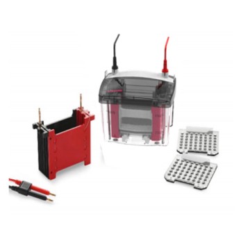 TBLOTmini Vertical Blot