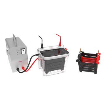 Fast Protein Transfer System