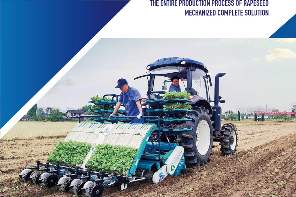 Oilseed rape blanket seedling combine transplanter (1)(1).jpg