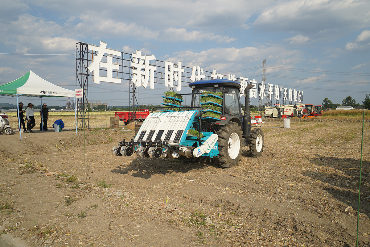 Oilseed rape blanket seedling combine transplanter (1).jpg