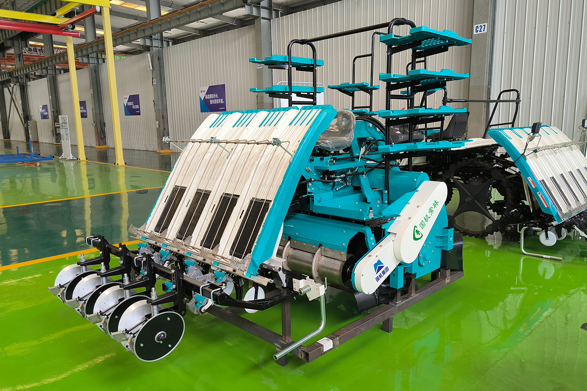 Oilseed rape blanket seedling combine transplanter (2).jpg